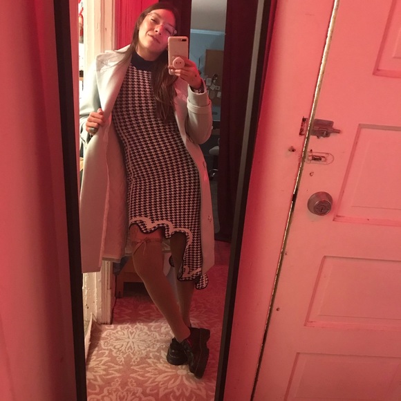 Meet your Posher, Niki 😺 - Picture 4 of 4